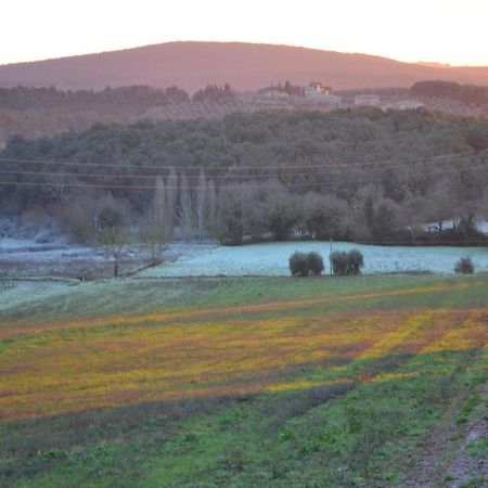 Podere Ficareto Farm Ancaiano Екстер'єр фото