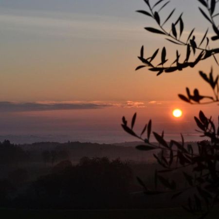 Podere Ficareto Farm Ancaiano Екстер'єр фото