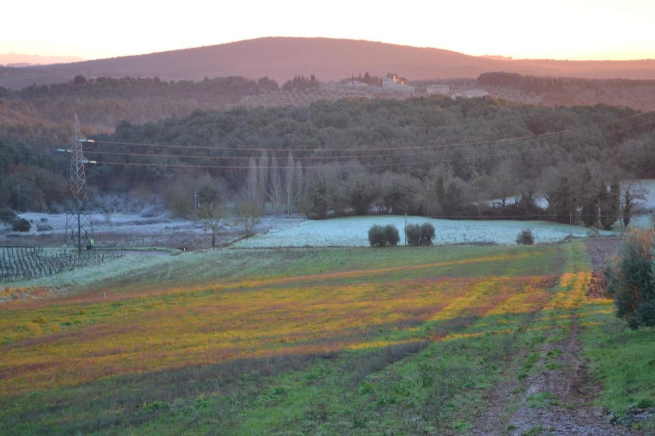 Podere Ficareto Farm Ancaiano Екстер'єр фото
