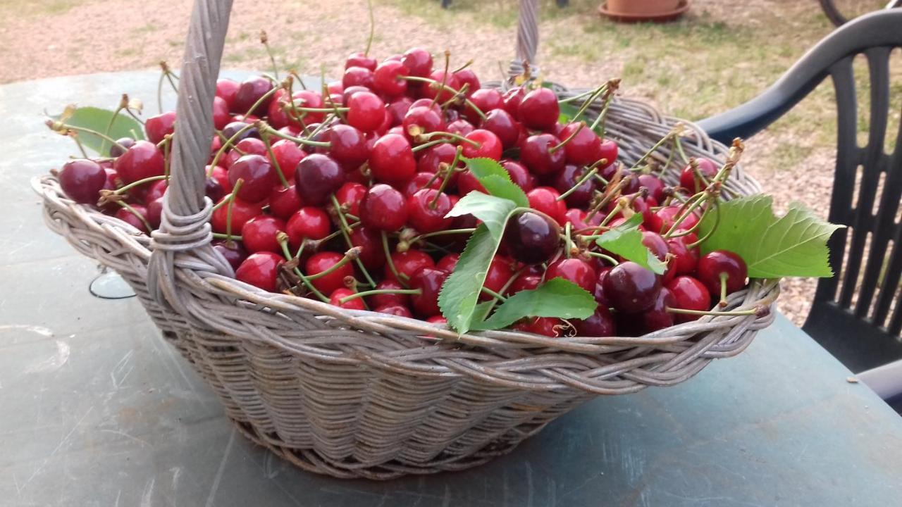Podere Ficareto Farm Ancaiano Екстер'єр фото