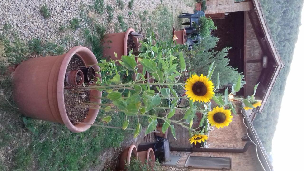 Podere Ficareto Farm Ancaiano Екстер'єр фото